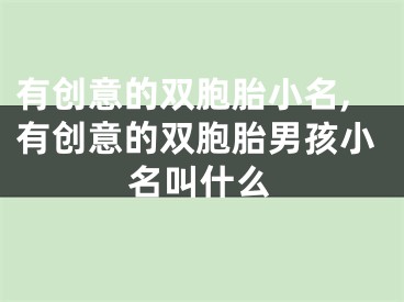 有创意的双胞胎小名,有创意的双胞胎男孩小名叫什么
