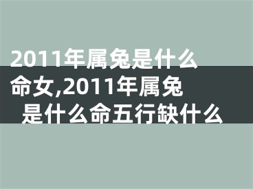 2011年属兔是什么命女,2011年属兔是什么命五行缺什么