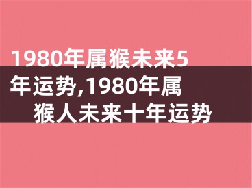 1980年属猴未来5年运势,1980年属猴人未来十年运势