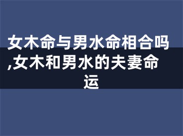 女木命与男水命相合吗,女木和男水的夫妻命运