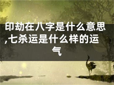印劫在八字是什么意思,七杀运是什么样的运气