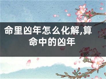 命里凶年怎么化解,算命中的凶年
