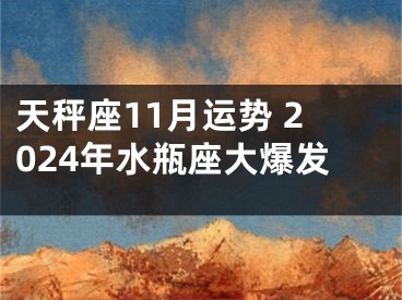 天秤座11月运势 2024年水瓶座大爆发