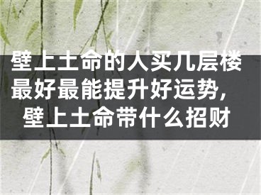 壁上土命的人买几层楼最好最能提升好运势,壁上土命带什么招财