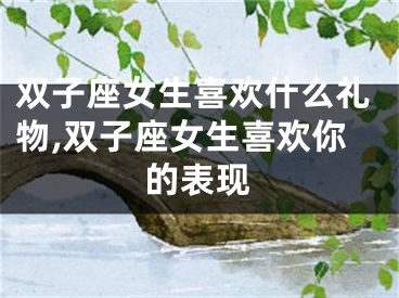双子座女生喜欢什么礼物,双子座女生喜欢你的表现