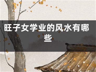旺子女学业的风水有哪些