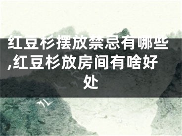 红豆杉摆放禁忌有哪些,红豆杉放房间有啥好处