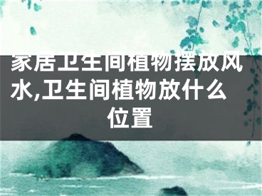 家居卫生间植物摆放风水,卫生间植物放什么位置