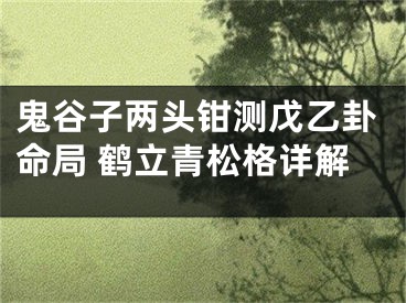 鬼谷子两头钳测戊乙卦命局 鹤立青松格详解