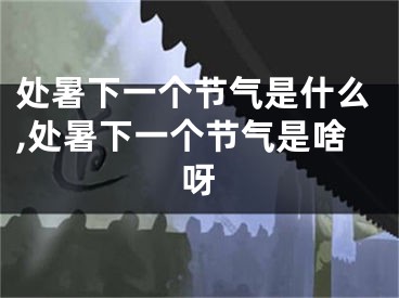 处暑下一个节气是什么,处暑下一个节气是啥呀