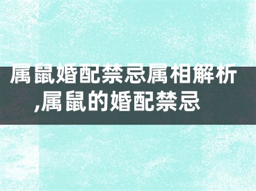 属鼠婚配禁忌属相解析,属鼠的婚配禁忌