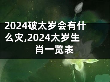 2024破太岁会有什么灾,2024太岁生肖一览表