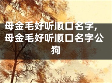 母金毛好听顺口名字,母金毛好听顺口名字公狗