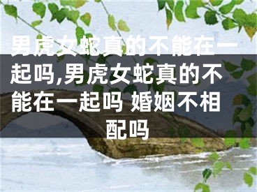 男虎女蛇真的不能在一起吗,男虎女蛇真的不能在一起吗 婚姻不相配吗