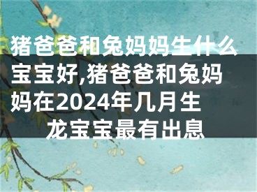猪爸爸和兔妈妈生什么宝宝好,猪爸爸和兔妈妈在2024年几月生龙宝宝最有出息