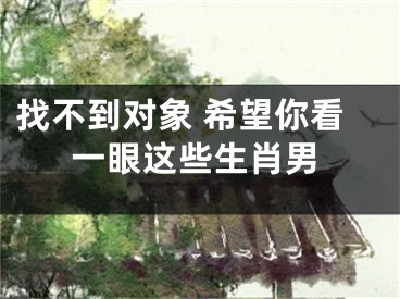 找不到对象 希望你看一眼这些生肖男
