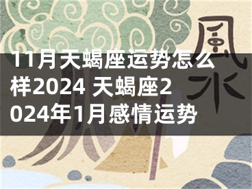 11月天蝎座运势怎么样2024 天蝎座2024年1月感情运势