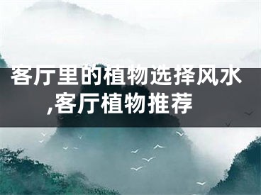 客厅里的植物选择风水,客厅植物推荐