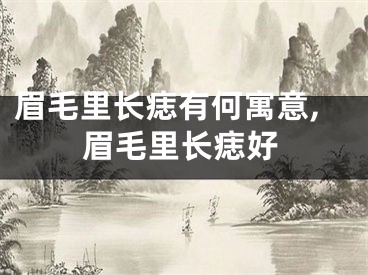 眉毛里长痣有何寓意,眉毛里长痣好