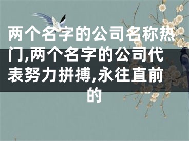 两个名字的公司名称热门,两个名字的公司代表努力拼搏,永往直前的