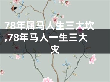 78年属马人生三大坎,78年马人一生三大灾
