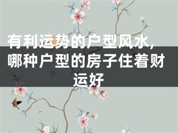 有利运势的户型风水,哪种户型的房子住着财运好