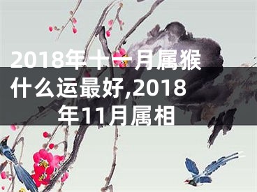 2018年十一月属猴什么运最好,2018年11月属相