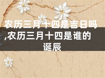 农历三月十四是吉日吗,农历三月十四是谁的诞辰