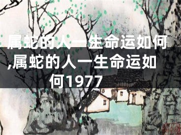 属蛇的人一生命运如何,属蛇的人一生命运如何1977