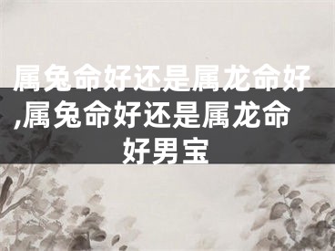 属兔命好还是属龙命好,属兔命好还是属龙命好男宝