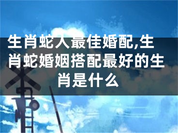 生肖蛇人最佳婚配,生肖蛇婚姻搭配最好的生肖是什么