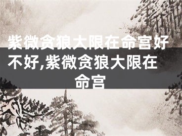 紫微贪狼大限在命宫好不好,紫微贪狼大限在命宫