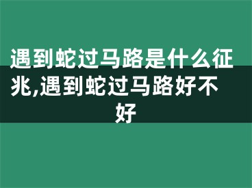 遇到蛇过马路是什么征兆,遇到蛇过马路好不好