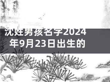 沈姓男孩名字2024年9月23日出生的