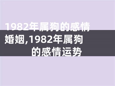 1982年属狗的感情婚姻,1982年属狗的感情运势