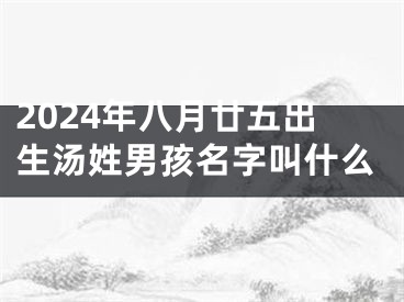 2024年八月廿五出生汤姓男孩名字叫什么