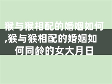 猴与猴相配的婚姻如何,猴与猴相配的婚姻如何同龄的女大月日