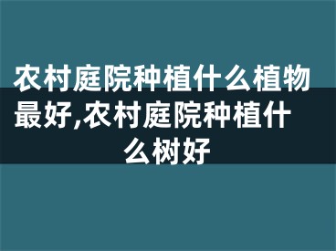 农村庭院种植什么植物最好,农村庭院种植什么树好