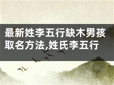 最新姓李五行缺木男孩取名方法,姓氏李五行