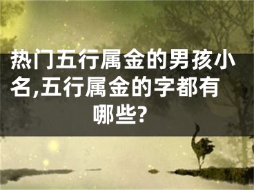 热门五行属金的男孩小名,五行属金的字都有哪些?