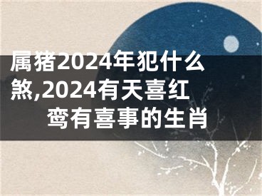 属猪2024年犯什么煞,2024有天喜红鸾有喜事的生肖