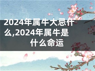 2024年属牛大忌什么,2024年属牛是什么命运