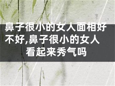 鼻子很小的女人面相好不好,鼻子很小的女人看起来秀气吗