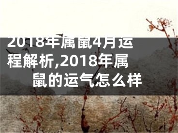 2018年属鼠4月运程解析,2018年属鼠的运气怎么样