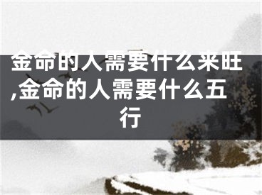 金命的人需要什么来旺,金命的人需要什么五行
