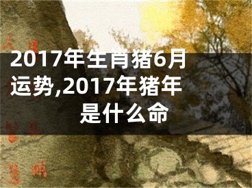 2017年生肖猪6月运势,2017年猪年是什么命