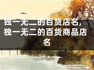 独一无二的百货店名,独一无二的百货商品店名