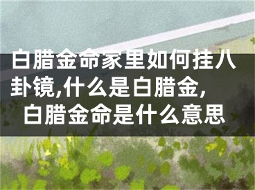 白腊金命家里如何挂八卦镜,什么是白腊金,白腊金命是什么意思