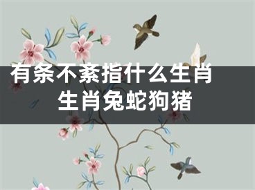 有条不紊指什么生肖 生肖兔蛇狗猪