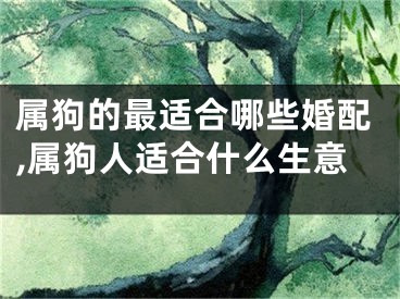 属狗的最适合哪些婚配,属狗人适合什么生意